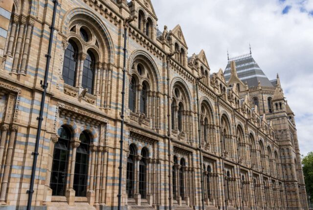 Μουσείο Φυσικής Ιστορίας (Natural History Museum)